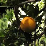 בית נופש Rifugio Della Pace Piano Terra E Primo Piano *