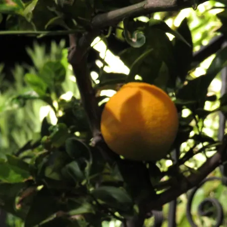 Feriehus Rifugio Della Pace Piano Terra E Primo Piano *