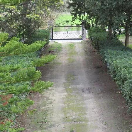 Rifugio Della Pace Piano Terra E Primo Piano Sant Isidoro (Sardinia)