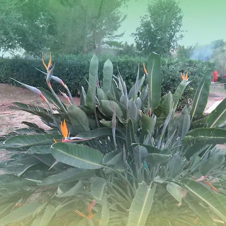 Feriehus Rifugio Della Pace Piano Terra E Primo Piano *