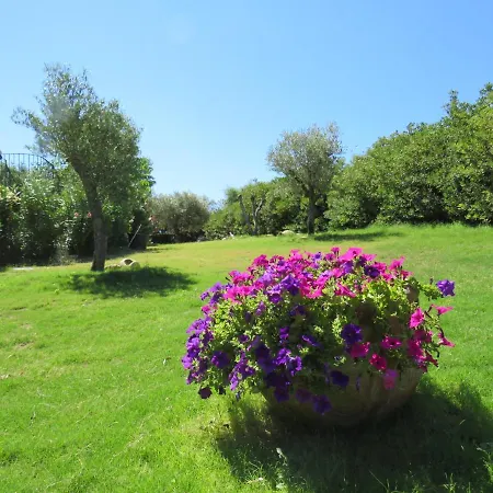 Rifugio Della Pace Piano Terra E Primo Piano Feriehus *