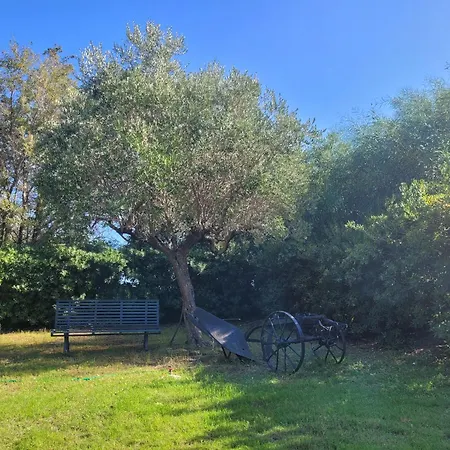 Rifugio Della Pace Piano Terra E Primo Piano *