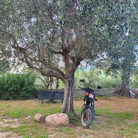 Rifugio Della Pace Piano Terra E Primo Piano Holiday home