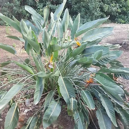 Rifugio Della Pace Piano Terra E Primo Piano 度假居