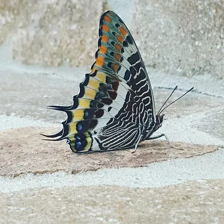 Rifugio Della Pace Piano Terra E Primo Piano