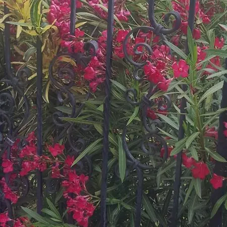 Rifugio Della Pace Piano Terra E Primo Piano Holiday home